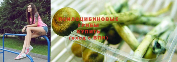 ешки Арсеньев