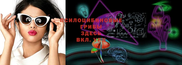 гашик Балахна
