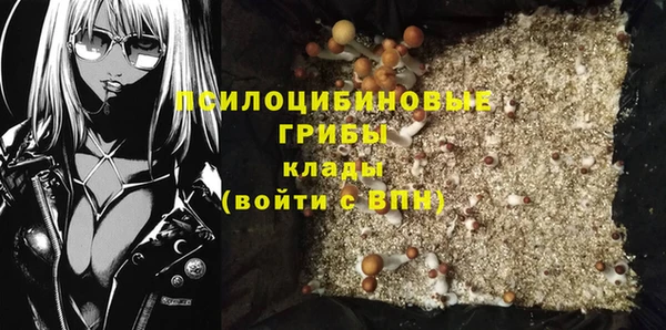 гашик Балахна