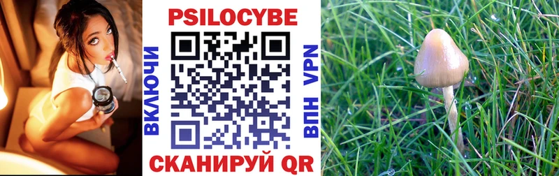 наркошоп  мега зеркало  Псилоцибиновые грибы Psilocybe  Богородицк 