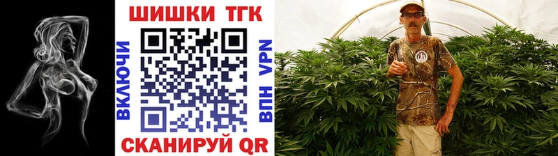 сколько стоит  Богородицк  Канабис конопля 